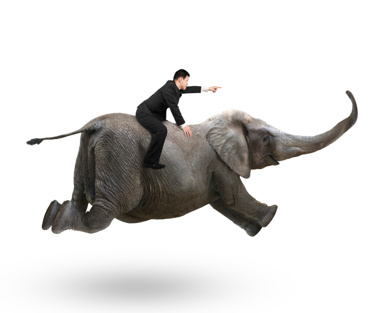 Developing Leaders: Lessons from a Behavior Change Effort